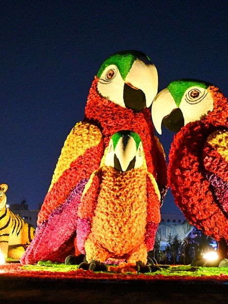 Floral parrot and tiger sculptures illuminated at Dubai Garden Glow.