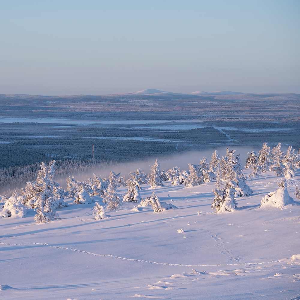 Snow-covered trees and distant hills in Levi ski resort, Sirkka Village, Finland.