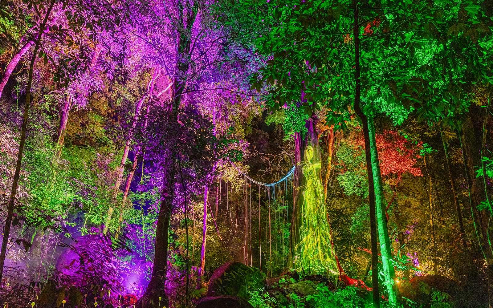Illuminated trees with colorful lights at Dream Forest Langkawi.