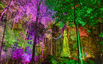 Illuminated trees with colorful lights at Dream Forest Langkawi.