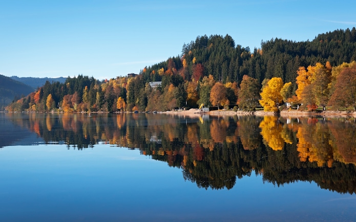 Lake Titisee with autumn trees reflecting on the water in the Black Forest, Germany.