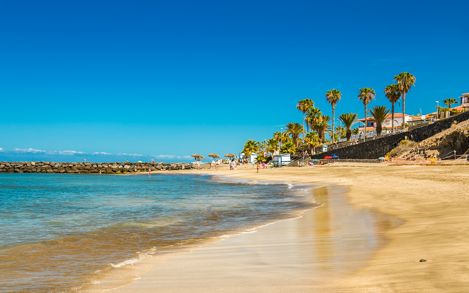 Tenerife'nin güney sahil şeridi