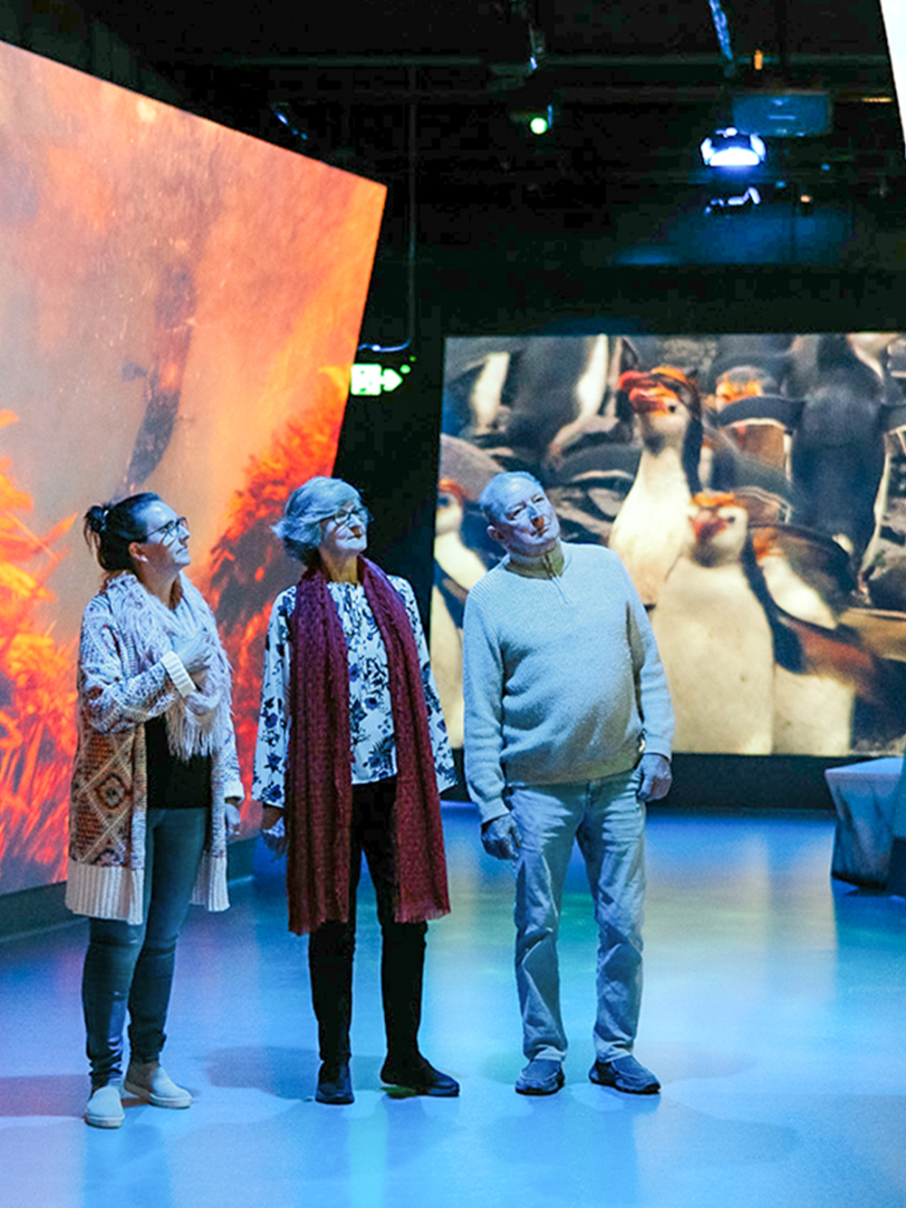 Tickets to Antarctic Journey at Nobbies Centre