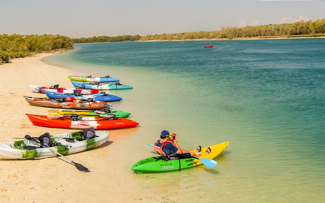 Kayaks lined up on a sandy beach for a mangrove kayaking tour in Abu Dhabi.