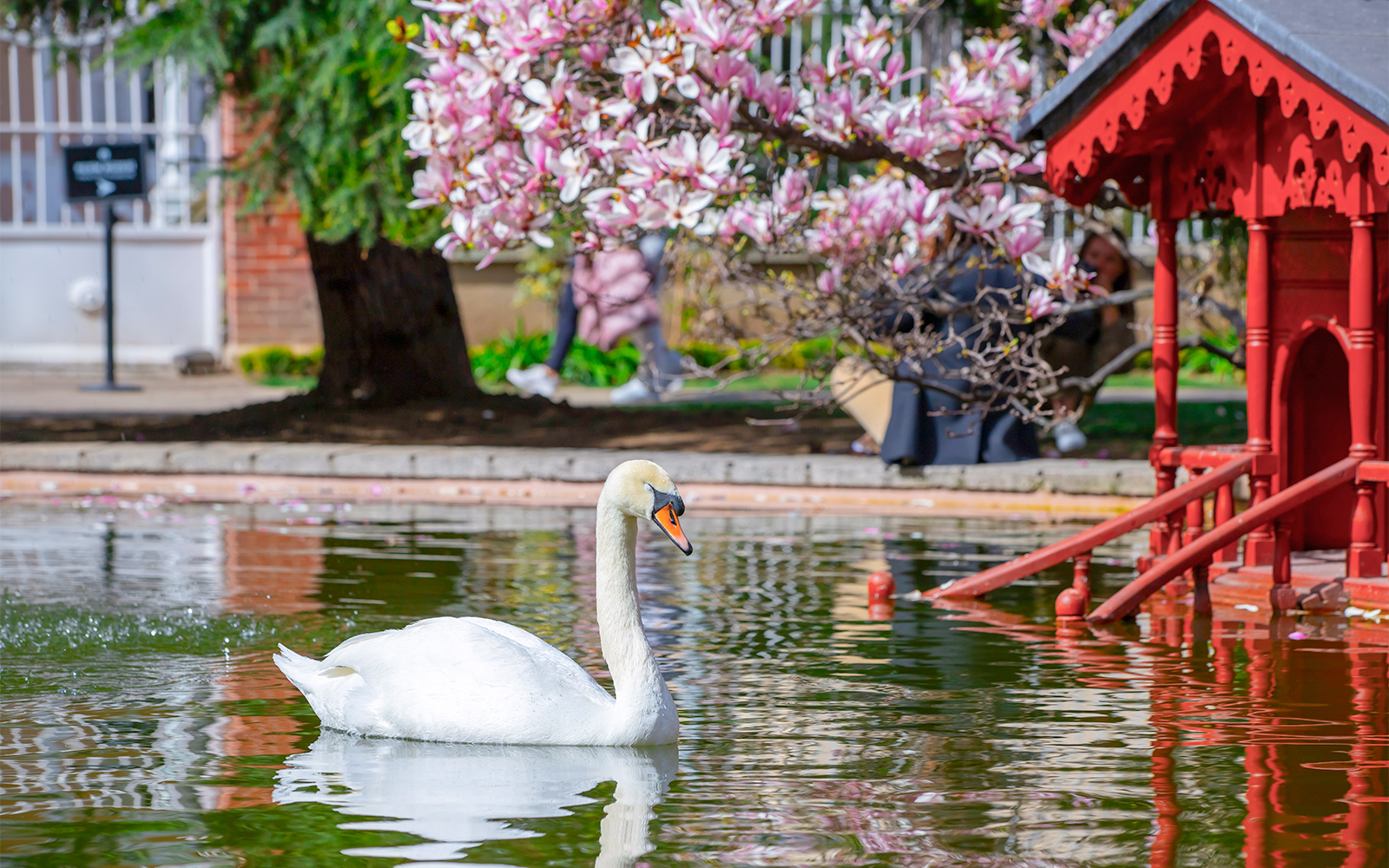 Dolmabahçe Palace Garden