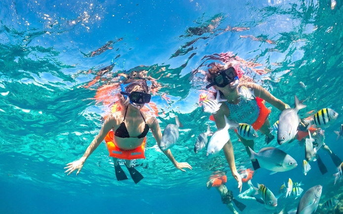 Snorkelers exploring vibrant marine life at Punta Sam.