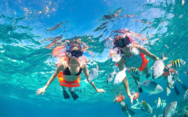Snorkelers exploring vibrant marine life at Punta Sam.