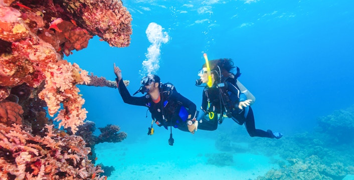Ras Mohamed National Park