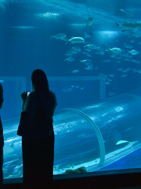 Visitors observing fish through a glass tunnel at the Rio de Janeiro aquarium.