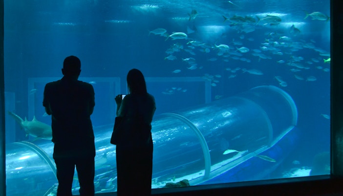 Visitors observing fish through a glass tunnel at the Rio de Janeiro aquarium.