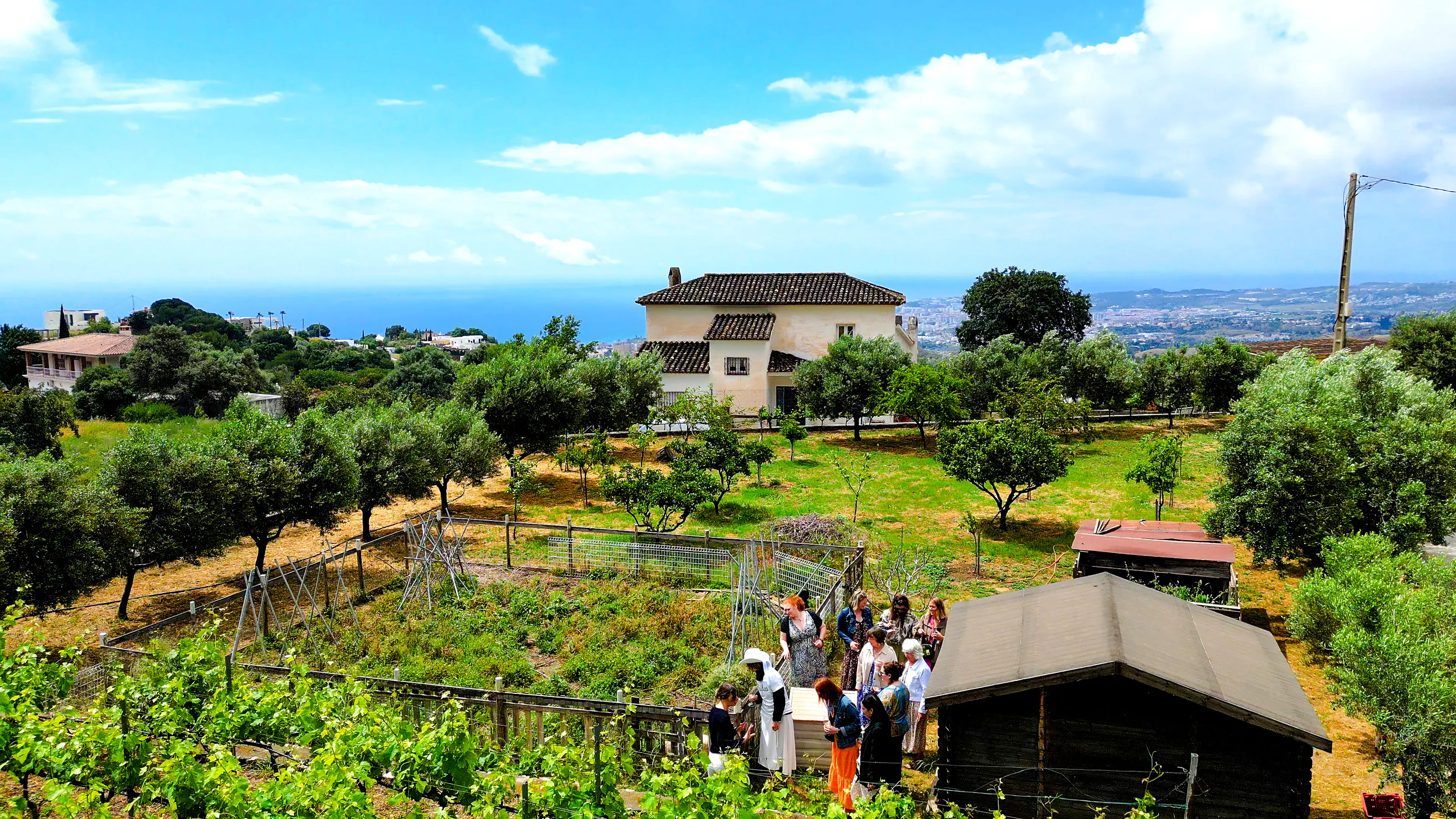 Mijas Organic Vineyard Tour and Tasting with 5 Wines, 2 Olive Oils and Tapas