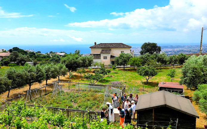 Mijas Organic Vineyard Tour and Tasting with 5 Wines, 2 Olive Oils and Tapas