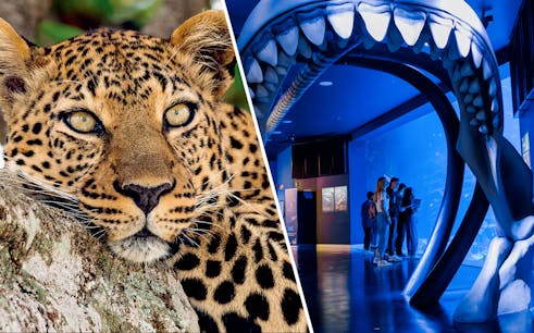 combo (réduction de 5 %): zoo aquarium + atlantis aquarium skip-the-line tickets-1