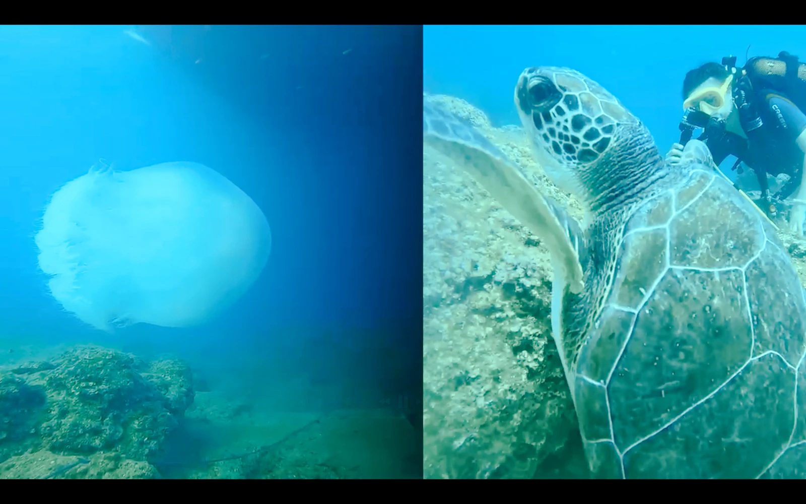 Side Scuba Diving at Side Underwater Museum with Hotel Transfers and Lunch Image 7