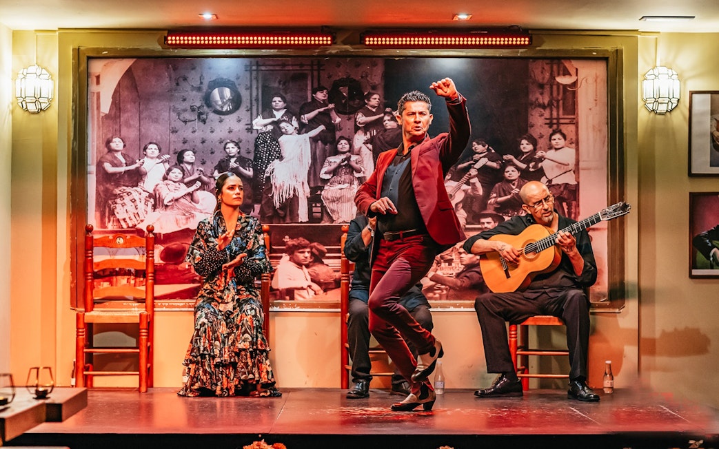 Flamenco dancer performing with guitarist and singer in a vibrant show setting.
