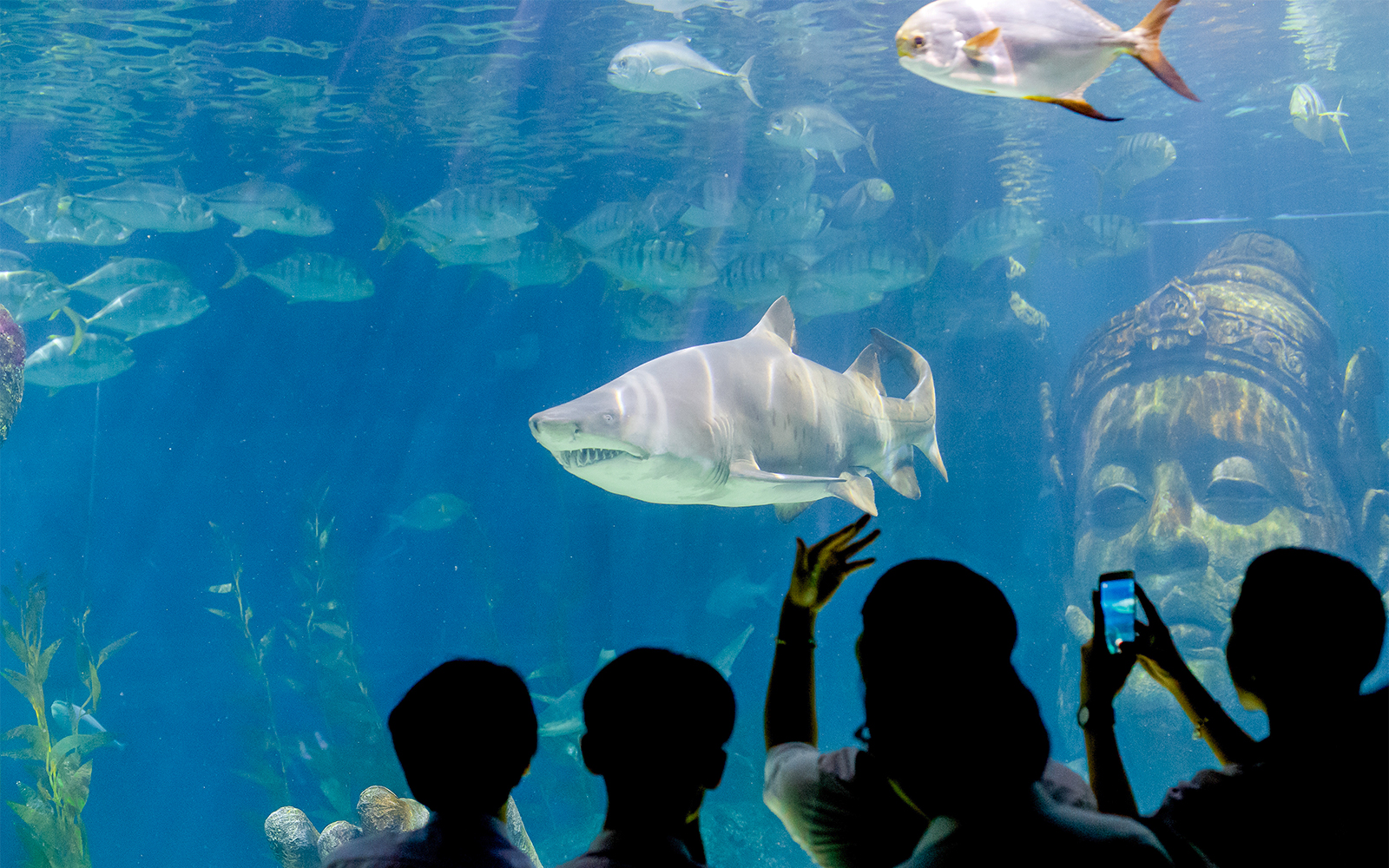 Visitors exploring the vibrant marine life at SEA LIFE Bangkok Shark Ship Wreck, a popular tourist attraction in Thailand