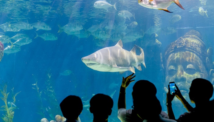 Visitors exploring the vibrant marine life at SEA LIFE Bangkok Shark Ship Wreck, a popular tourist attraction in Thailand