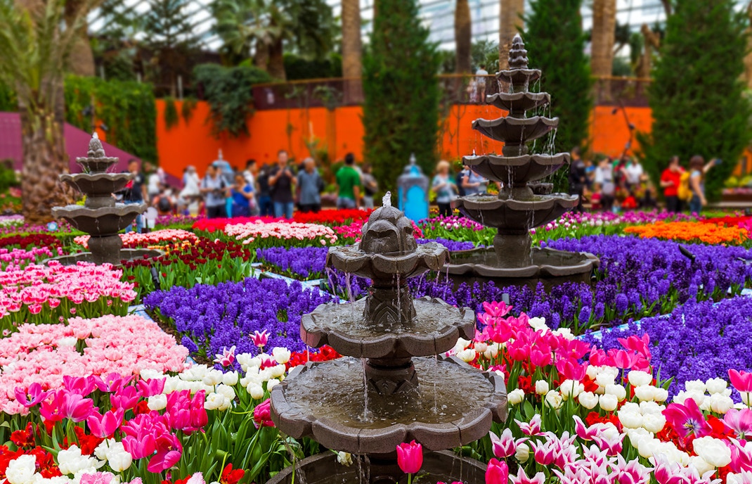 About  Floral Fantasy Singapore