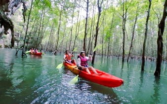 Kayakers paddling through mangroves in Ao Thalane, Krabi.