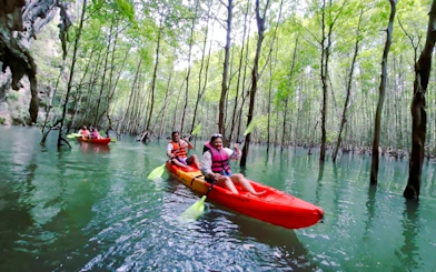 Kayakers paddling through mangroves in Ao Thalane, Krabi.