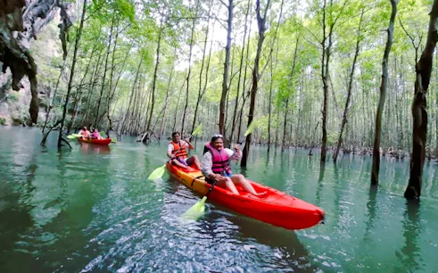 Kayakers paddling through mangroves in Ao Thalane, Krabi.