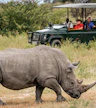 Pilanesberg National Park