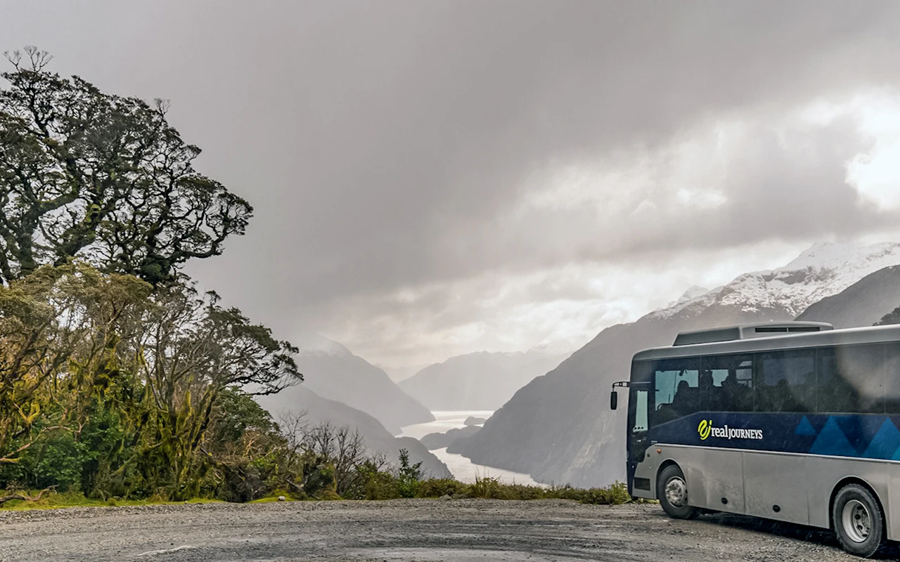 Da Queenstown: Crociera notturna a Doubtful Sound — 7