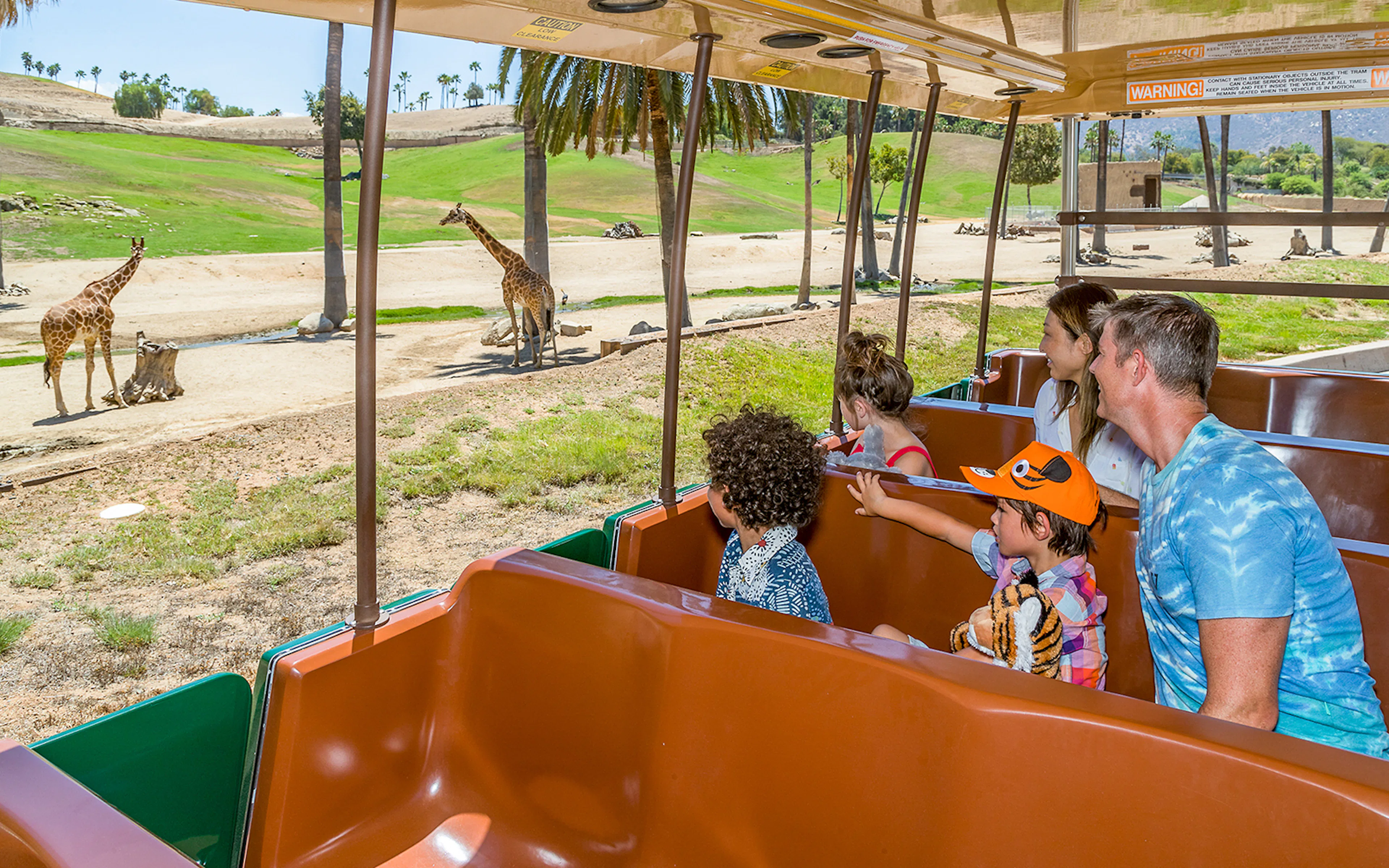 View of tourists watching Giraffes inside San Diego Zoo from Tram