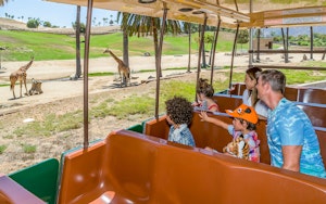 San Diego Zoo Safari Park: Tickets