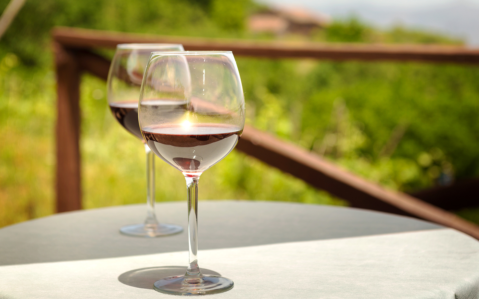 Nerello Mascalese wine tasting with Mount Etna in the background, Sicily.