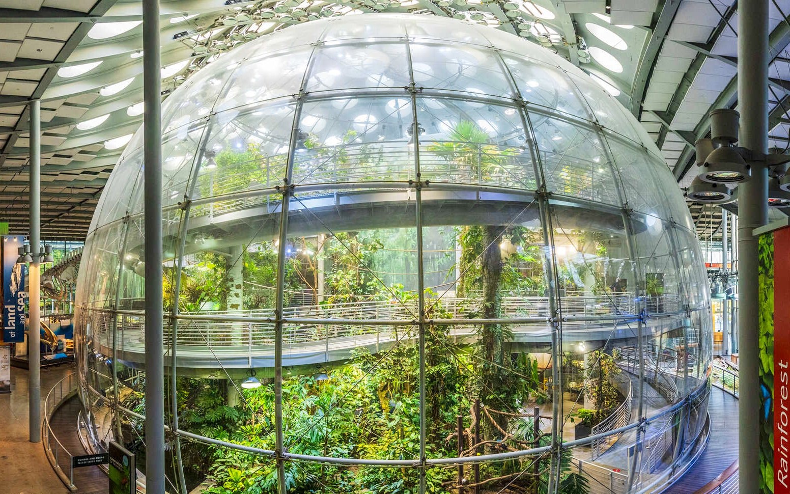 Rainforests of the World dome at California Academy of Sciences, showcasing lush greenery and walkways.