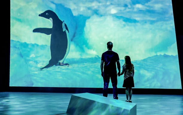 Visitors viewing penguin projection at Antarctic Journey, The Nobbies Centre.