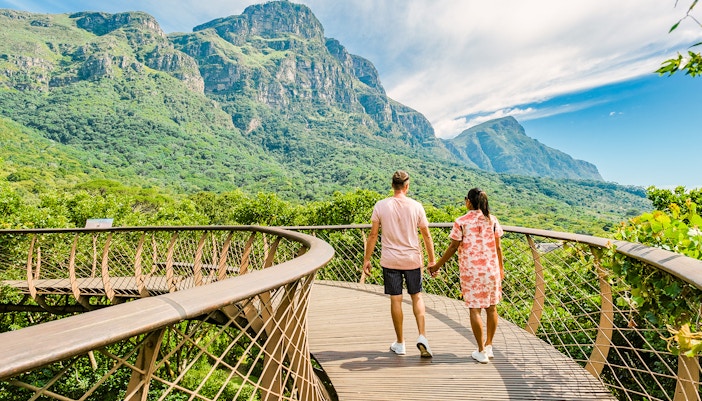 Kirstenbosch Botanical Gardens pathway with diverse plant species in Cape Town, South Africa.