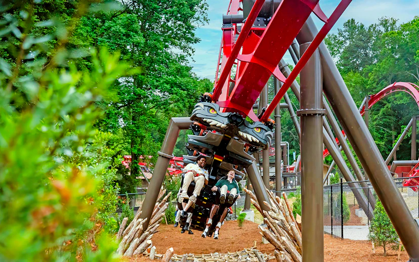 Roller coaster ride at Busch Gardens Williamsburg with passengers enjoying the thrill.