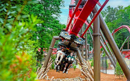 Busch Gardens Williamsburg & Water Country USA Multi-Park Tickets