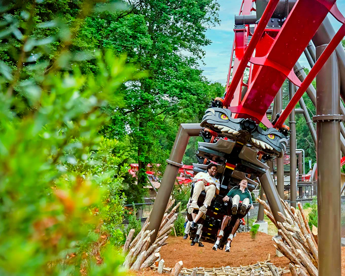 Busch Gardens Williamsburg & Water Country USA Multi-Park Tickets