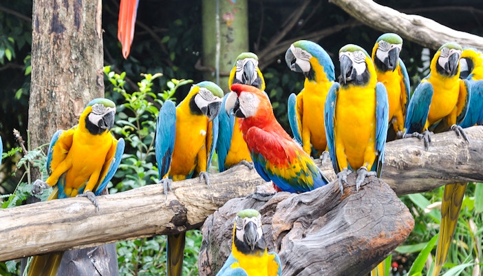 ZSL London Zoo tickets