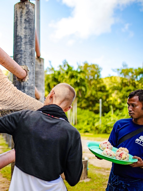 Feeding an elephant at Bukit Elephant Park with a guide holding food.