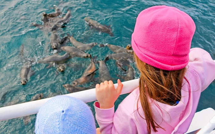 Children watching seals from a boat during a cruise at Phillip Island.