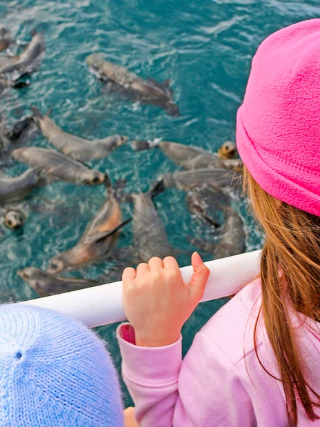 Children watching seals from a boat during a cruise at Phillip Island.