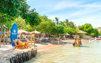 Beachfront with lounge chairs and palm trees on a beach island in the Rosario Islands near Cartagena, Colombia.