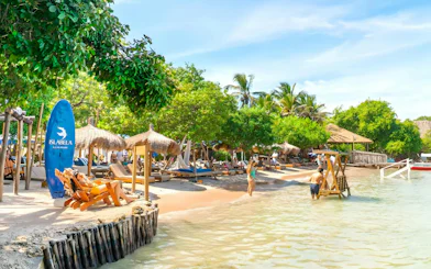Beachfront with lounge chairs and palm trees on a beach island in the Rosario Islands near Cartagena, Colombia.