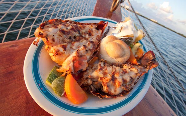 Grilled lobster dinner on a plate during a sunset cruise in Cancun.
