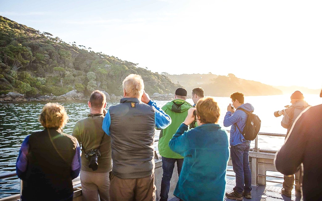 Tourists on a boat at sunset on Stewart Island watching the coastline and sky.