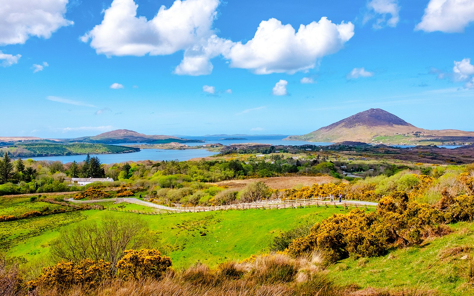 Connemara National Park landscape with mountains, lush greenery, and a winding path.