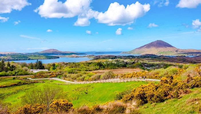Connemara National Park landscape with mountains, lush greenery, and a winding path.