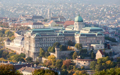 Buda Castle in Budapest with surrounding cityscape and autumn foliage.