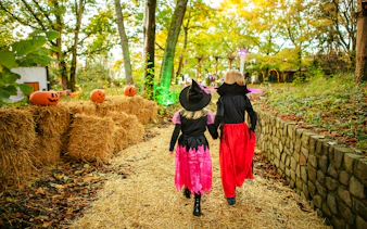 Children in Halloween costumes walking through decorated path at Heide Park.