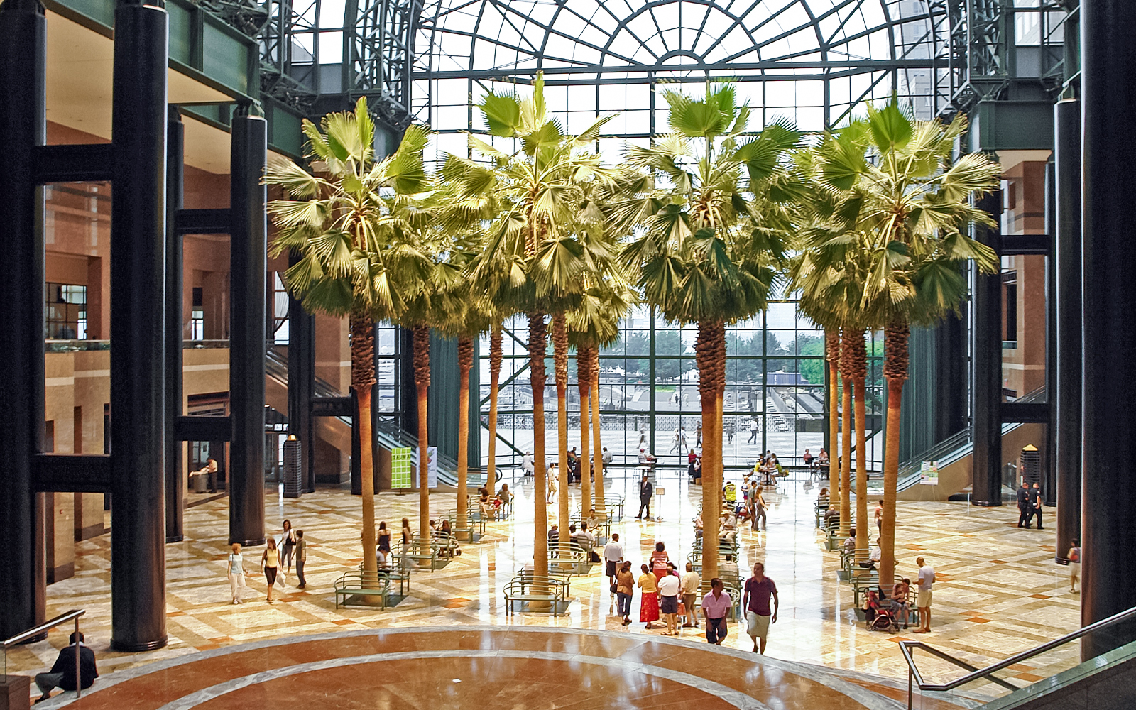 Atrio del jardín de invierno