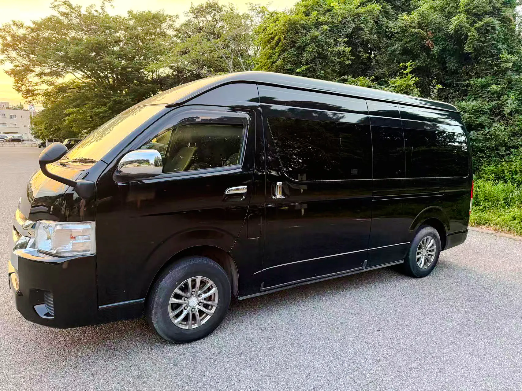 Narita International Airport to Tokyo Private One-Way Transfer